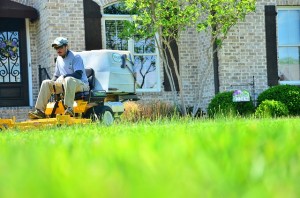 lawn-care-643562_640